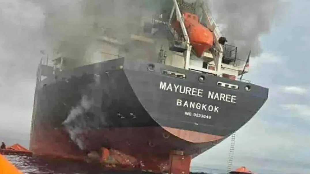 1773715238.png QQ20260317-103937.png