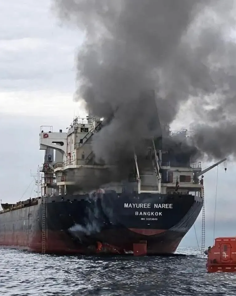 1773715295.png QQ20260317-104003.png