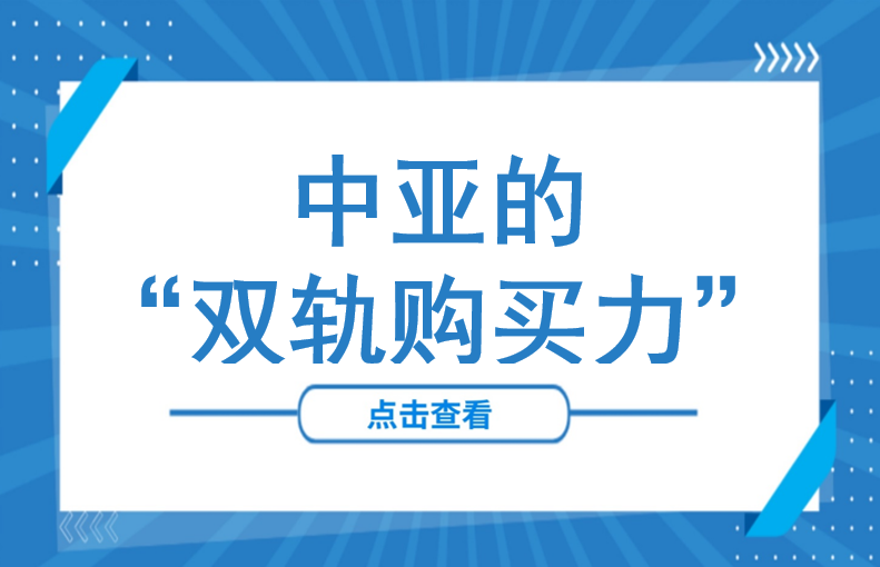 跃过千亿美元，如何接住中亚的“双轨购买力”？
